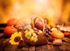 Autumn harvest - fresh autumn fruits in the basket